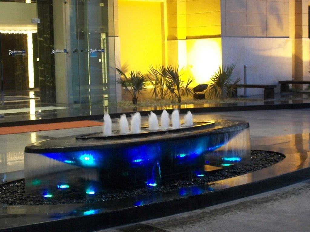 Raddison Blu, New Delhi (076)
